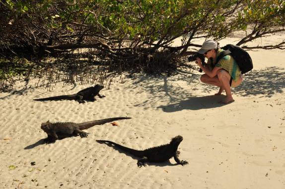 Fotografando iguanas na Playa Mansa de Tortuga Bay, na Ilha de Santa Cruz, em Galápagos